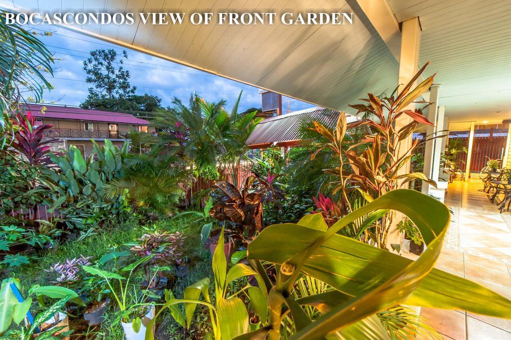 בוקס דל טורו Aqua Point Condos Rentals מראה חיצוני תמונה