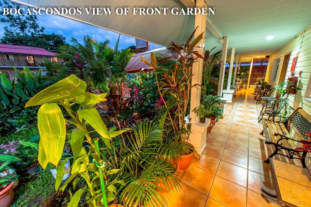 בוקס דל טורו Aqua Point Condos Rentals מראה חיצוני תמונה