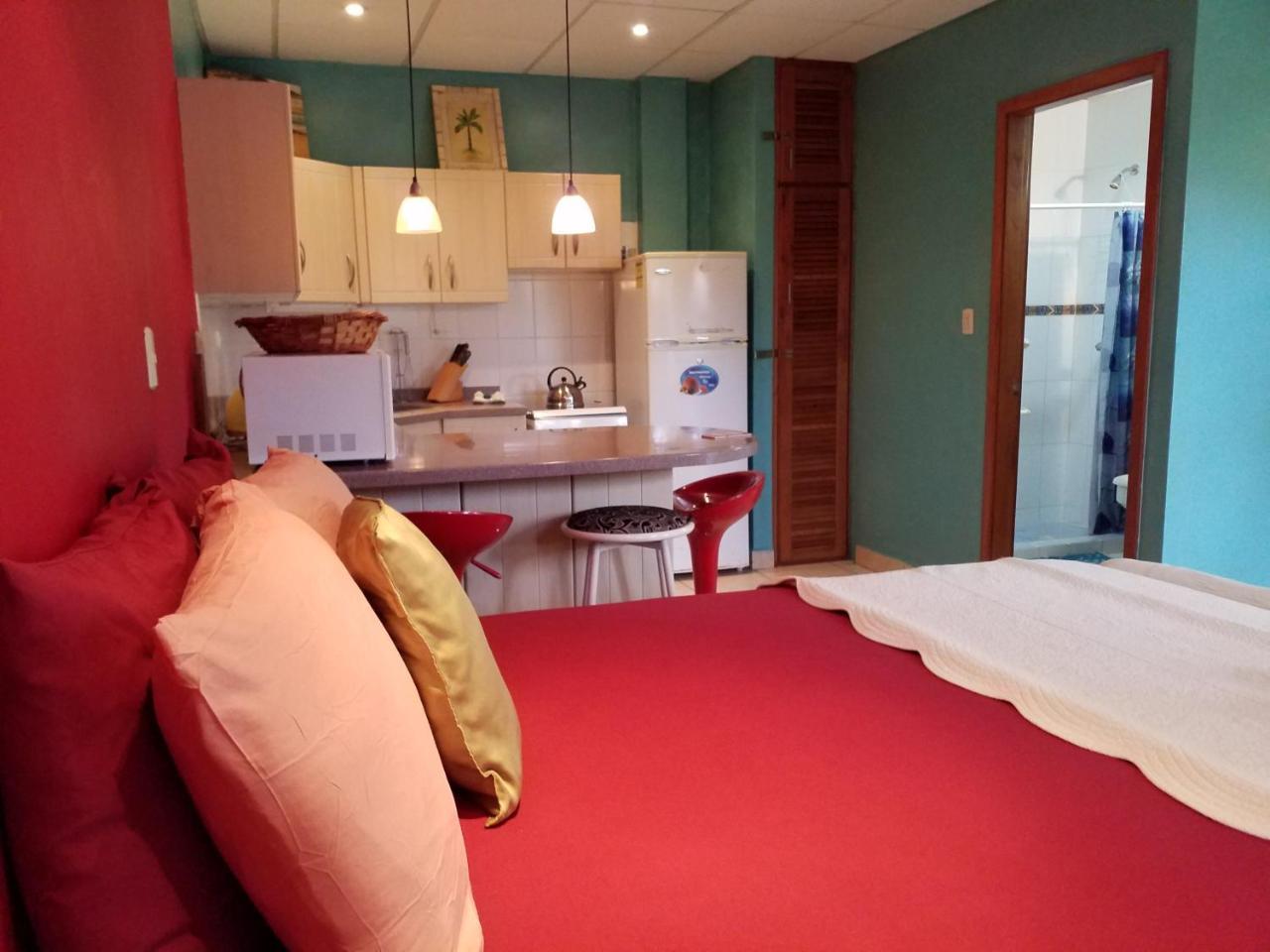 בוקס דל טורו Aqua Point Condos Rentals מראה חיצוני תמונה