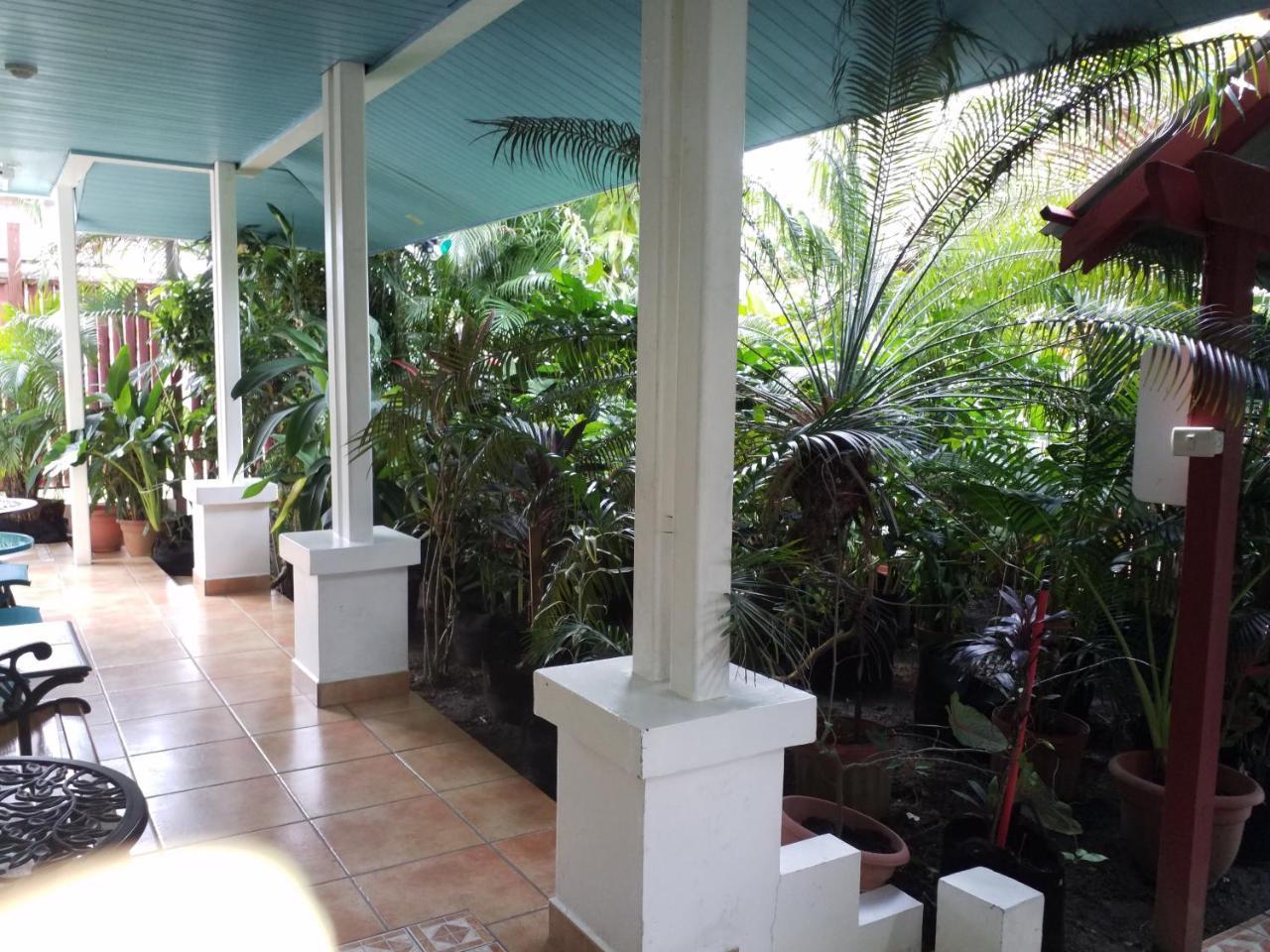 בוקס דל טורו Aqua Point Condos Rentals מראה חיצוני תמונה